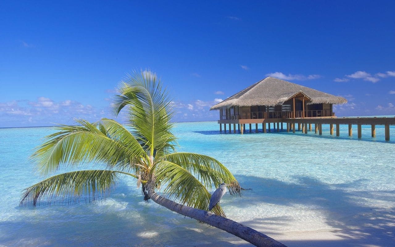 Medhufushi Island Resort