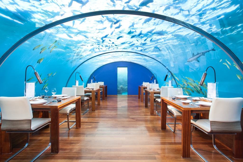 Most Beautiful Restaurant In the World 1 Conrad Maldives_ithaa by day websize