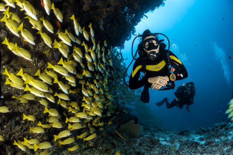 Diving in maldives 