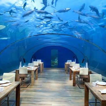 ithaa undersea restaurant