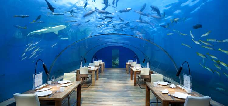 The First Undersea Restaurant in the World Celebrates 10th Anniversary 1 Ithaa undersea restaurant