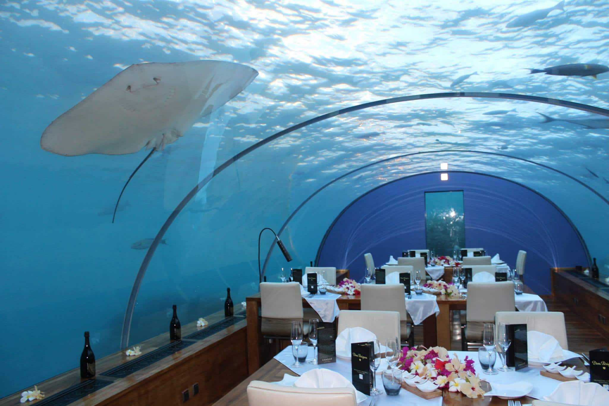 The First Undersea Restaurant in the World Celebrates 10th Anniversary 2 ithaa-undersea-restaurant1