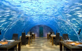 ithaa underwater restaurant rangali island2