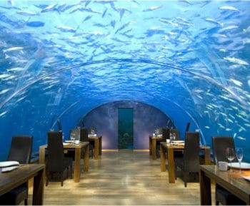 ithaa underwater restaurant rangali island2