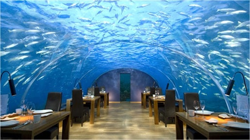 ithaa underwater restaurant rangali island2