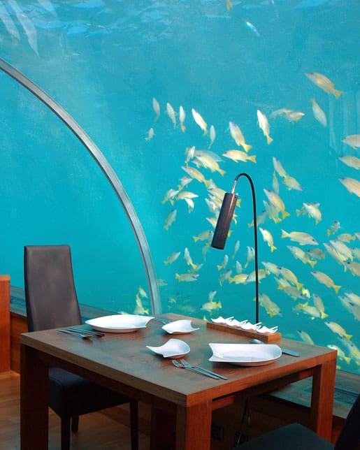 ithaa underwater restaurant rangali island3