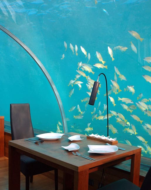 ithaa underwater restaurant at rangali island ithaa underwater restaurant rangali island3