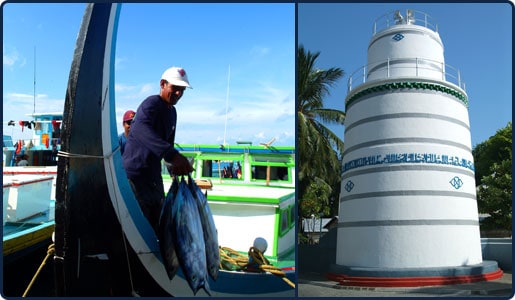 maldives excursions maldives
