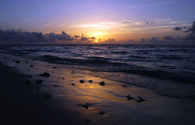 sunset at beach