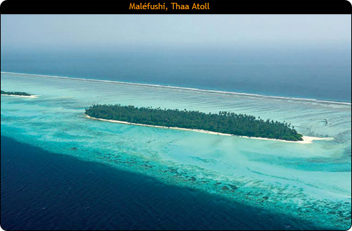 Malefushi