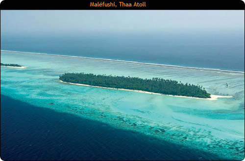 Regent Hotels and Resorts To Open Luxury Resort In Republic Of Maldives In 2008 1 Malefushi
