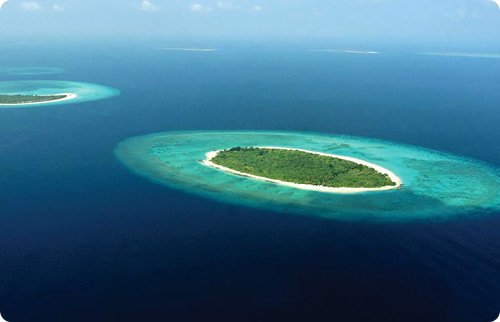 Manafaru Retreat 1 Manafaru Retreat