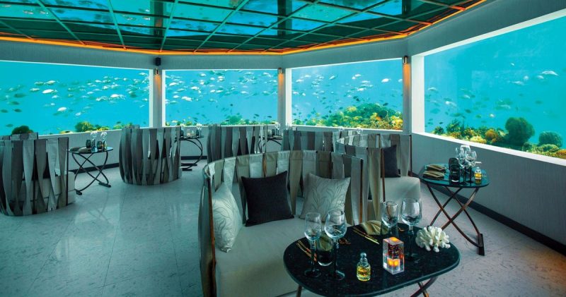 OZEN LIFE Maadhoo 3 Minus Six Meters underwater restaurent