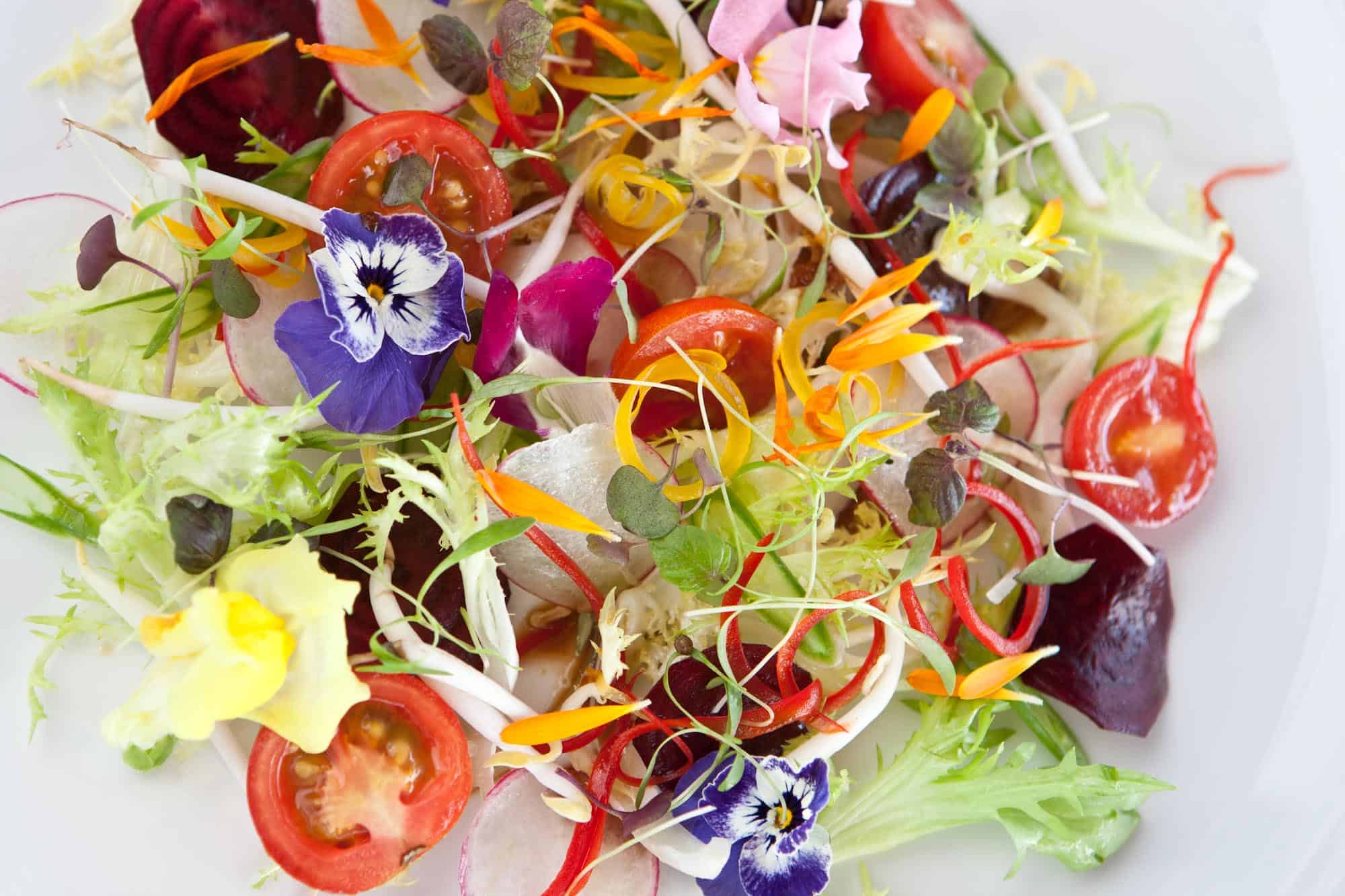 purification food by hilton maldives purification food by hilton maldives