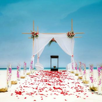 reethirah wedding 02