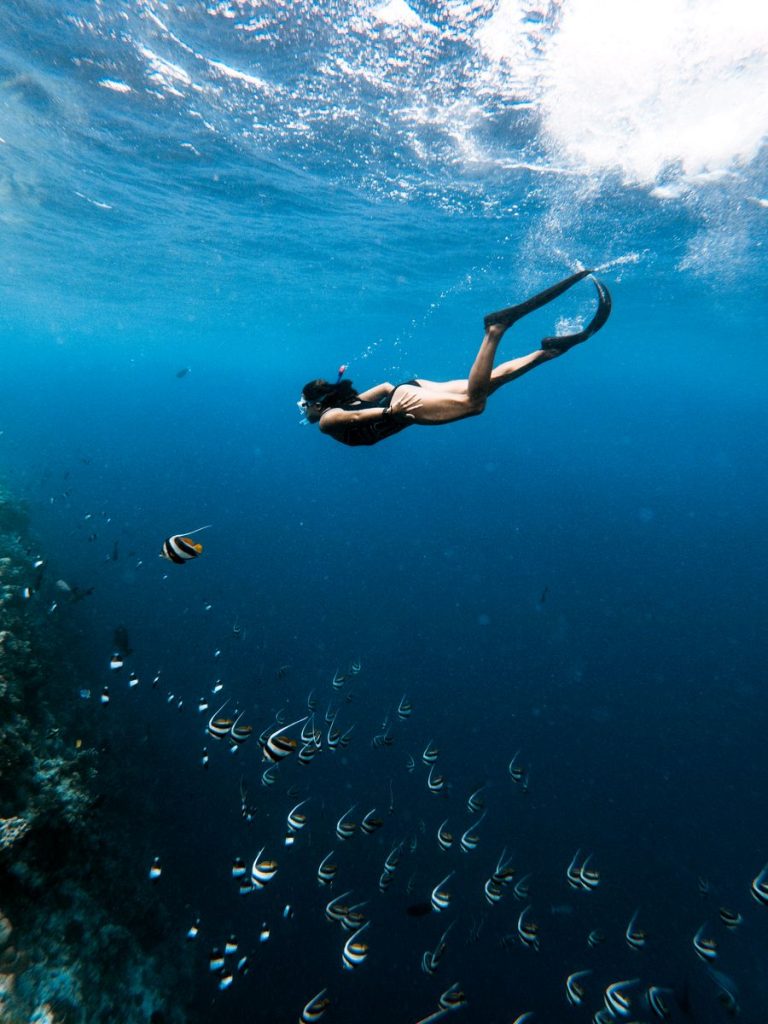 Snorkeling 1 snorkeling 02